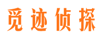 宁晋市调查公司